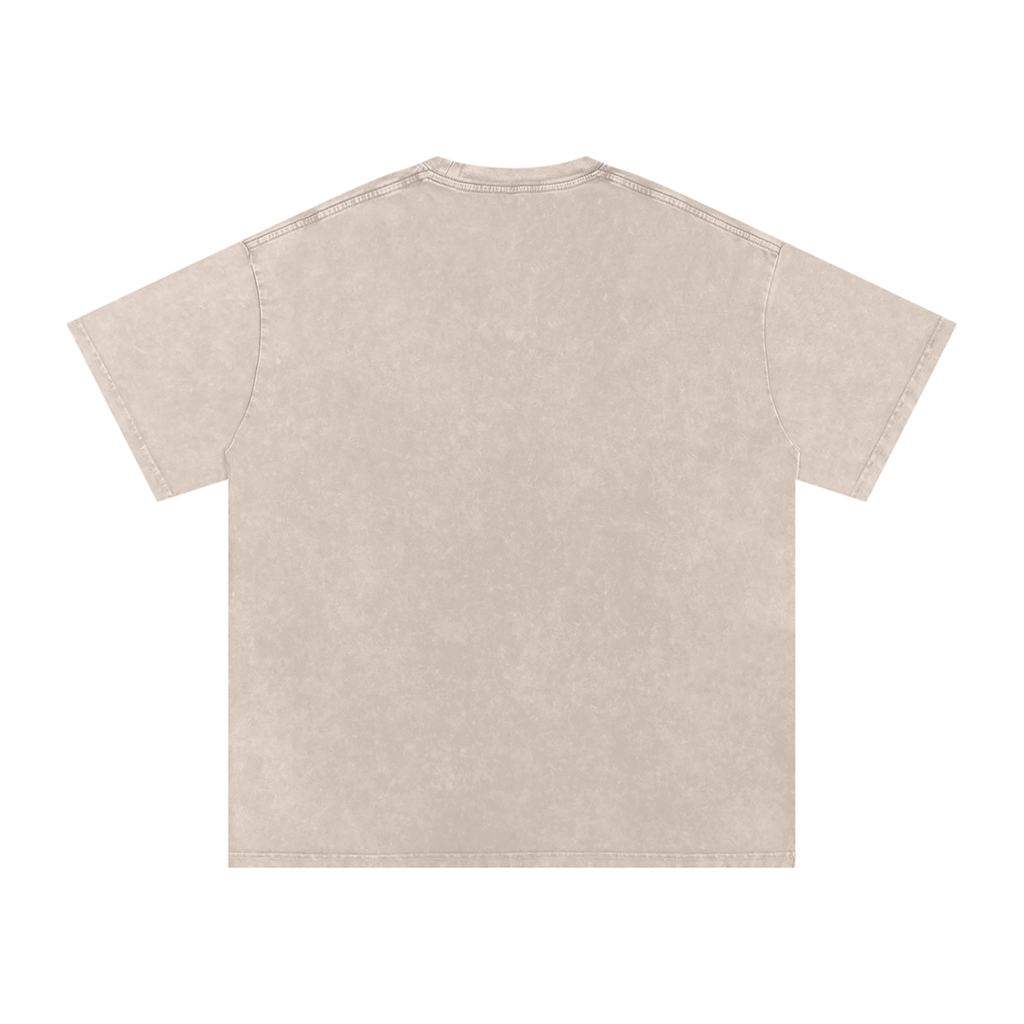 TBGL Snow Washed Oversized Cotton T-Shirt